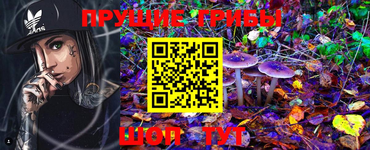 Сергиев Посад  Псилоцибиновые грибы Psilocybe  Псилоцибиновые грибы прущие грибы  Вход с VPN 